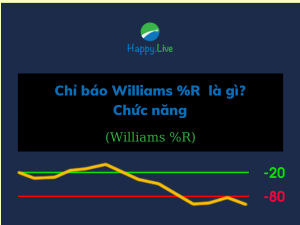 Chỉ báo Williams %R (Williams %R) là gì? Chức năng của Chỉ báo Williams %R