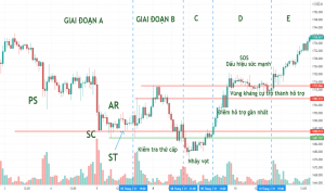 cac-thuat-ngu-wyckoff-thuong-su-dung-trong-giai-doan-tich-luy-co-phieu-phan1-happy-live-1