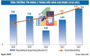Gặp khó về tài chính, các doanh nghiệp đề xuất giảm phí và nâng room tín dụng - HappyLive