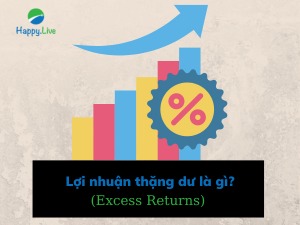 Lợi nhuận thặng dư (Excess Returns) là gì? Ý nghĩa của lợi nhuận thặng dư