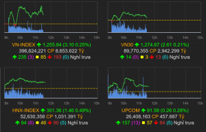 Thị trường chứng khoán (8/8): Cổ phiếu lớn giữ nhịp, VN-Index lên hơn 3 điểm - HappyLive