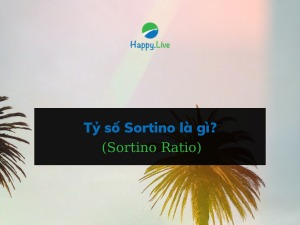 Tỷ số Sortino (Sortino Ratio) là gì? Công thức và ví dụ