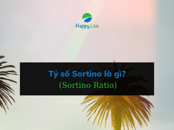 Tỷ số Sortino (Sortino Ratio) là gì? Công thức và ví dụ