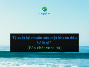 Tỷ suất lợi nhuận của một khoản đầu tư là gì? Bản chất và cho ví dụ