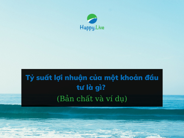 Tỷ suất lợi nhuận của một khoản đầu tư là gì? Bản chất và cho ví dụ