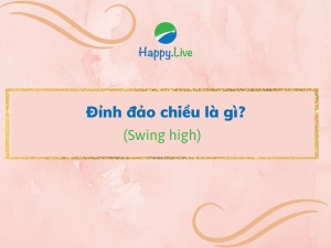 Đỉnh đảo chiều (Swing high) là gì Ví dụ về đỉnh đảo chiều