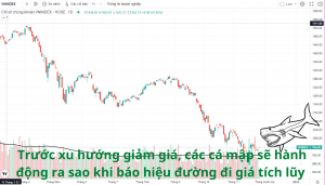 Trước xu hướng giảm giá, các cá mập sẽ hành động ra sao khi báo hiệu đường đi giá tích lũy