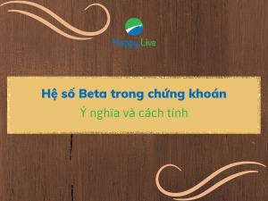 Hệ số Beta trong chứng khoán: Ý nghĩa và cách tính