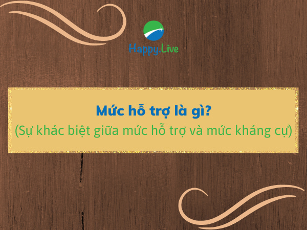 Mức hỗ trợ (Support Level) là gì? Sự khác biệt giữa mức hỗ trợ và mức kháng cự
