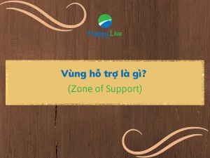 Vùng hỗ trợ (Zone of Support) là gì? Các tham số của vùng hỗ trợ
