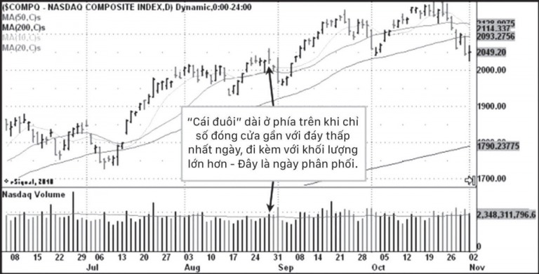 cach-kiem-loi-nhuan-18000-dinh-thoi-diem-thi-truong-buoc-vao-xu-huong-moi-happy-live-1