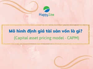 Mô hình định giá tài sản vốn (Capital asset pricing model - CAPM) là gì?
