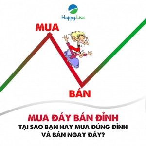 Mua đáy bán đỉnh - Việc làm nhà đầu tư giỏi hay câu chuyện cổ tích?