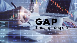 nen-nhat-a-bo-co-khoang-trong-gia-gap-su-khac-biet-giua-cac-loai-khoang-trong-gia-happy-live-6