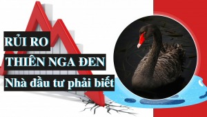 'Thiên nga đen' và tâm lý đám đông đẩy thị trường chứng khoán rơi sâu vào vòng xoáy - HappyLive