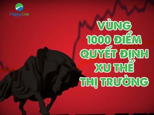 VN-INDEX DƯỚI GÓC NHÌN KỸ THUẬT: LIỆU VÙNG 1000 ĐIỂM CÓ PHẢI LÀ ĐÁY DÀI HẠN CỦA THỊ TRƯỜNG? (31/10/2022 – 04/11/2022)