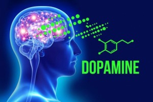dopamine