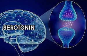 serotonin