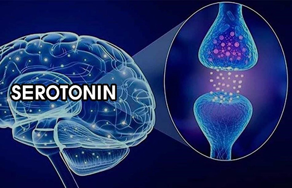 serotonin