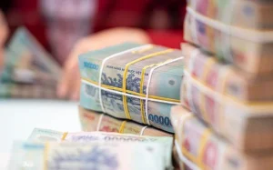 room-tin-dung-nam-2023-se-duoc-cap-ngay-trong-thang-1-happy-live-1