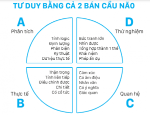 tư duy bằng cả 2 bán cầu não