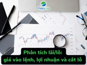 Phân tích lãi/lỗ: giá vào lệnh, lợi nhuận và cắt lỗ