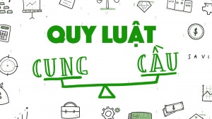Quy luật Cung - Cầu, chi tiết trong Wyckoff 2.0 và những lỗi thường xảy ra - Happy Live