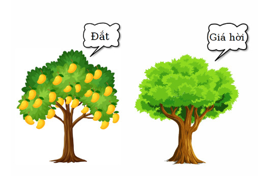 Tên khờ và túi tiền của hắn sớm muộn gì cũng sẽ xa nhau!