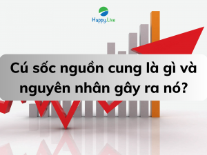 Cú sốc nguồn cung là gì và nguyên nhân gây ra nó
