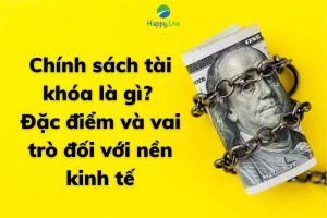 Chính sách tài khóa là gì Đặc điểm và vai trò đối với nền kinh tế