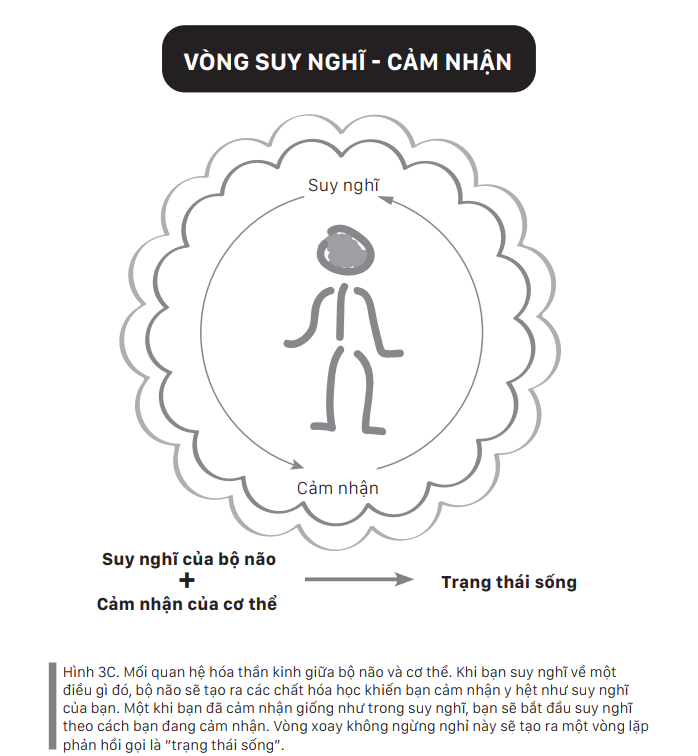 Bí quyết “đặc trị” căng thẳng – “căn bệnh” của chế độ sinh tồn phiên bản thế kỷ 21