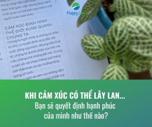 Cảm xúc có thể chi phối cuộc sống của bạn đến mức nào?