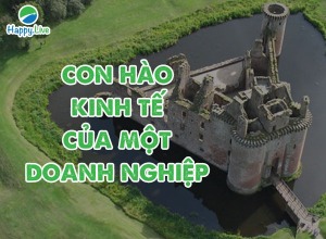 con-hao-kinh-te-moat-cua-doanh-nghiep-la-gi-happy-live-3