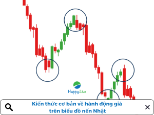 Kiến thức cơ bản về hành động giá trên biểu đồ nến Nhật