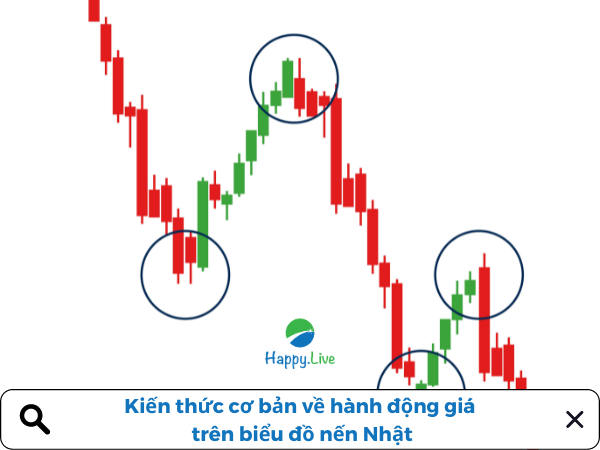 Kiến thức cơ bản về hành động giá trên biểu đồ nến Nhật