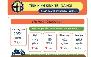 toan-canh-tinh-hinh-kinh-te-xa-hoi-viet-nam-thang-5-va-5-thang-dau-nam-2023-happy-live-2