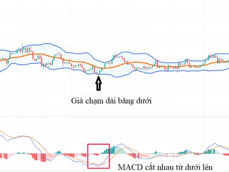 thuc-hanh-chien-luoc-bollinger-bands-trong-phan-tich-co-phieu-happy-live-5