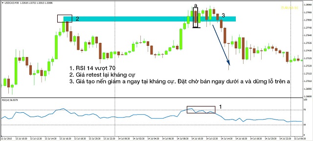 phan-ky-la-gi-4-dang-phan-ky-co-ban-trong-phan-tich-ky-thuat-ta-happy-live-8