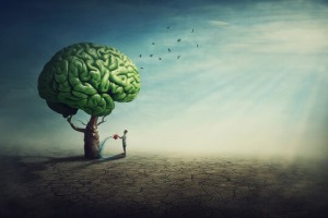 Bộ não con người có khả năng thay đổi, phục hồi và chữa lành