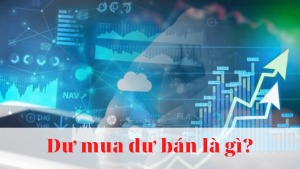 du-mua-du-ban-la-gi-trong-chung-khoan-cach-du-doan-thi-truong-theo-du-mua-va-du-ban-co-phieu-happy-live-1