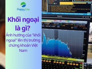 khoi-ngoai-la-gi-anh-huong-cua-khoi-ngoai-len-thi-truong-chung-khoan-viet-nam-happy-live-4