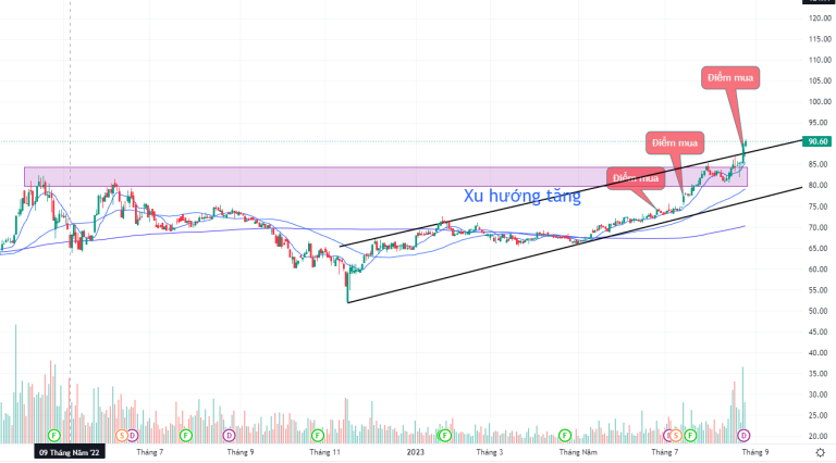trend-following-chien-luoc-giao-dich-di-theo-xu-huong-cua-jesse-livermore-richart-wyckoff-ed-seykota-happy-live-1