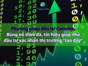 Phương pháp đầu tư Canslim Bùng nổ theo đà, tín hiệu giúp nhà đầu tư xác nhận thị trường tạo đáy (1)