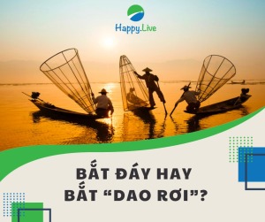Bắt đáy hay bắt dao rơi - Nhà đầu tư cần lưu ý gì?