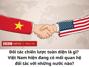 doi-tac-chien-luoc-toan-dien-la-gi-viet-nam-hien-dang-co-moi-quan-he-doi-tac-voi-nhung-nuoc-nao-happy-live-1