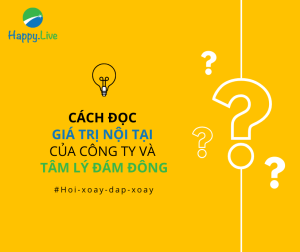 Hỏi xoáy - đáp xoay: Cách đọc giá trị nội tại của công ty và tâm lý đám đông