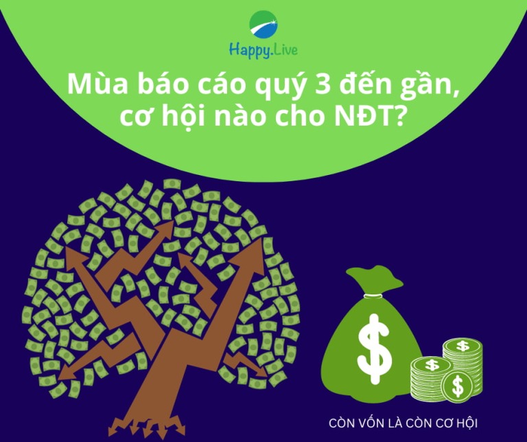 Mùa báo cáo quý 3 đến gần, cơ hội nào dành cho nhà đầu tư?