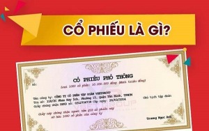 huong-dan-dau-tu-chung-khoan-co-ban-a-bo-co-co-phieu-la-gi-vai-tro-cua-co-phieu-va-cac-loai-co-phieu-happy-live-1