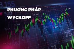 cau-truc-toan-dien-cua-phuong-phap-luan-wyckoff-happy-live-5