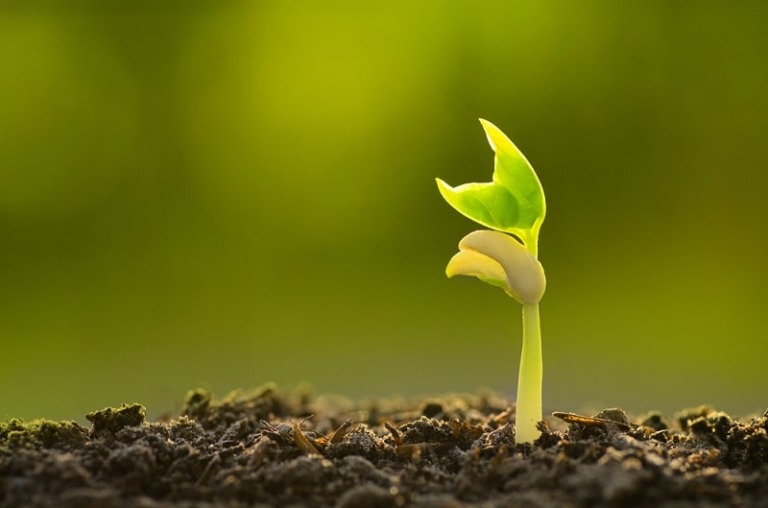 Gắn kết giá trị cá nhân với giá trị văn hóa tổ chức nơi công sở